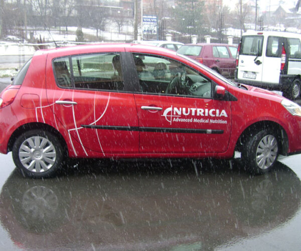 Rivel brendiranje automobila - 113