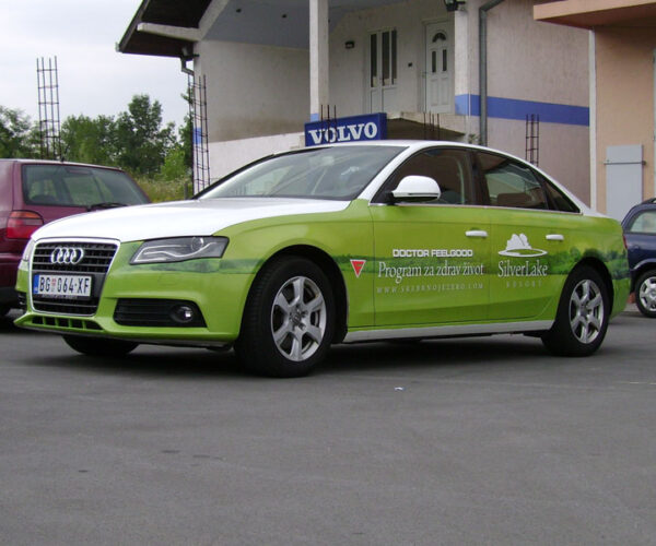 Rivel brendiranje automobila - 49