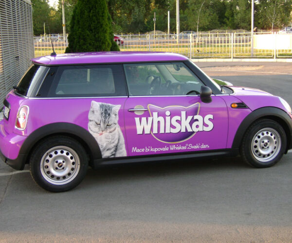 Rivel brendiranje automobila - 68