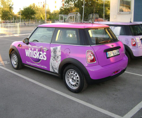 Rivel brendiranje automobila - 94